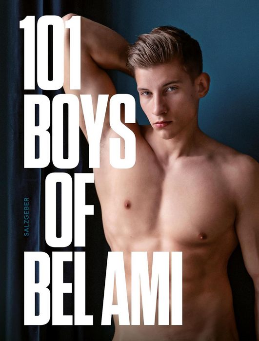101 Boys of Bel Ami Book