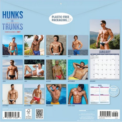 Hunks in Trunks 2027 Wall Calendar