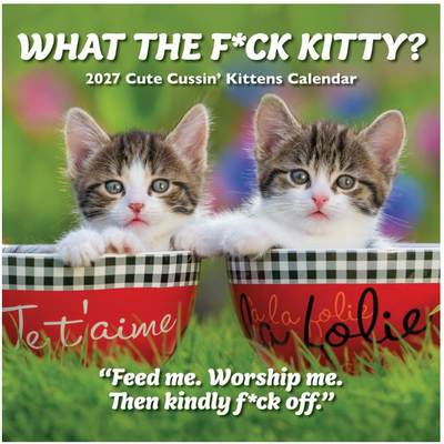 What the F*ck Kitty 2027 Wall Calendar