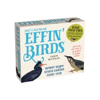 Effin Birds 2027 Desk Calendar