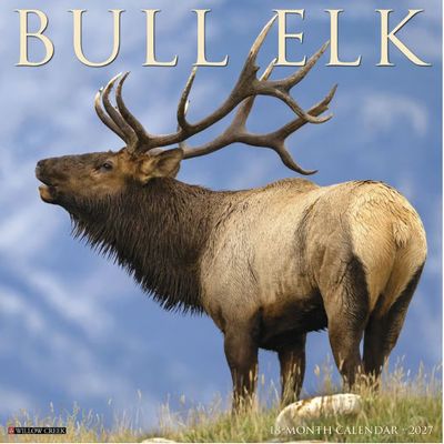 Bull Elk 2027 Wall Calendar