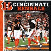 NFL Cincinnati Bengals 2026 Mini Wall Calendar