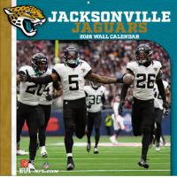 NFL Jacksonville Jaguars 2026 Wall Calendar