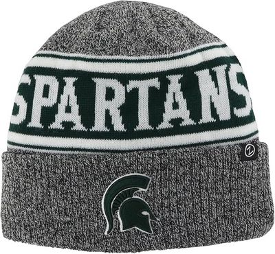 Officially Licensed Beanie Force