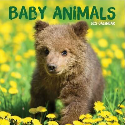 Animals 2027 Calendar